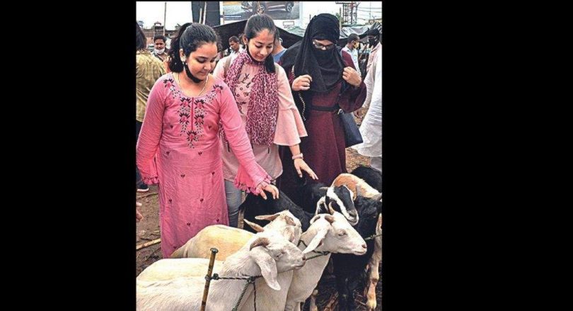 Goat traders looked at losses for the second year in a row