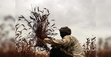 Monsun is not possible above Delhi, Haryana and Punjab until July 7