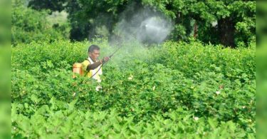 The Agri Dept field office can recommend banning five pesticides