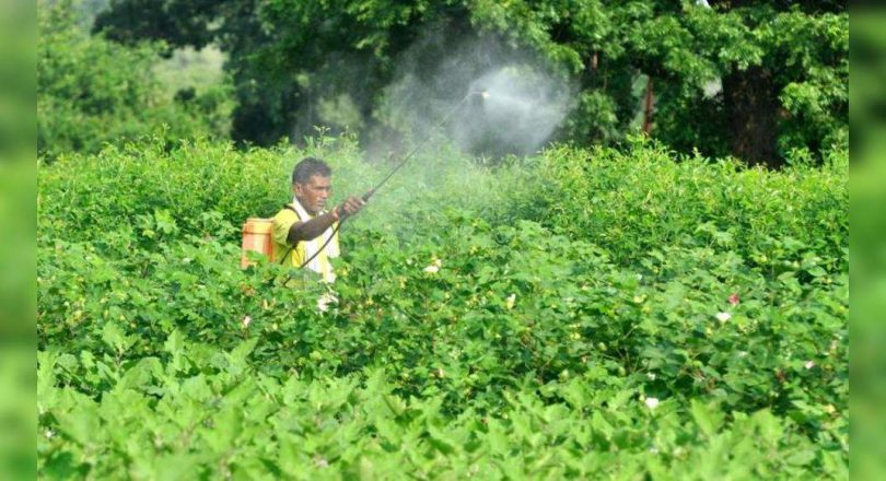 The Agri Dept field office can recommend banning five pesticides