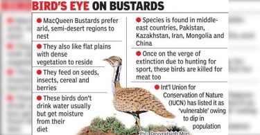 Frequent Frequent Frequent finds a neighbor of GUJ which is far from home