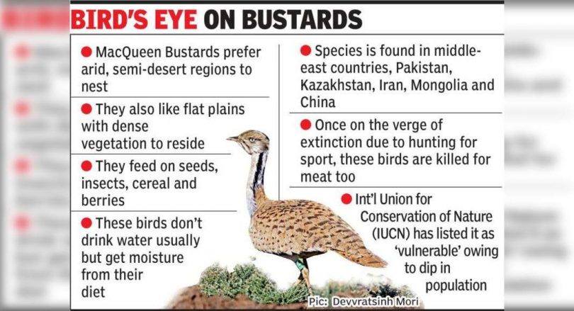 Frequent Frequent Frequent finds a neighbor of GUJ which is far from home