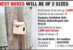 To give home to sparrows and Mynah, Haryana planned 6,000 nest boxes in 6 districts