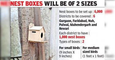To give home to sparrows and Mynah, Haryana planned 6,000 nest boxes in 6 districts