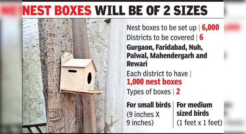 To give home to sparrows and Mynah, Haryana planned 6,000 nest boxes in 6 districts