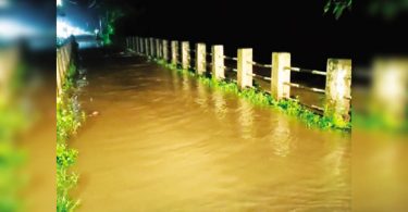 Goa: Paroda bridge runs below because Kushavati swells