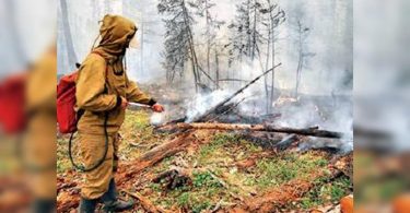 Siberian rolls under forest fires for the third year in a row