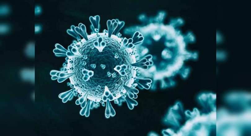 Bihar recorded 81 fresh covid cases, 2 deaths