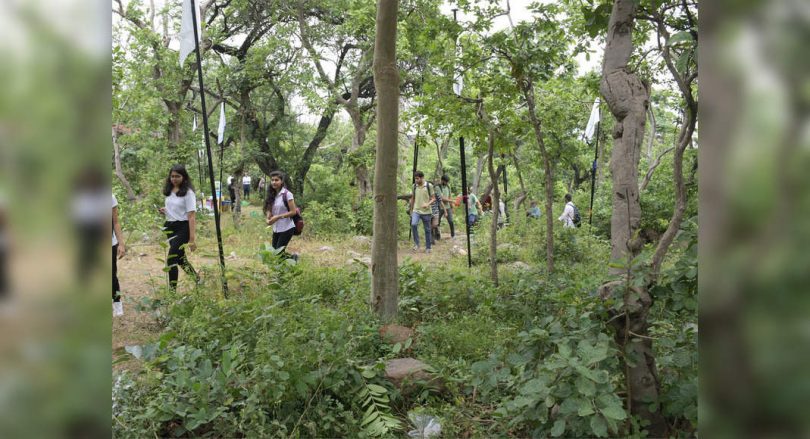 Delhi: Don't Cycling in Revamp Park - Type Central Park