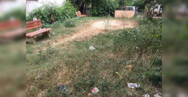 Work order, but no garden maintenance & green belt: residents