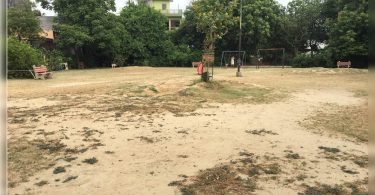 Work order, but no maintenance of the garden & green belt in Greater Noida: residents