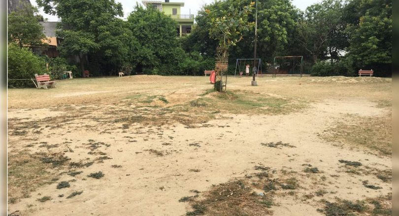 Work order, but no maintenance of the garden & green belt in Greater Noida: residents