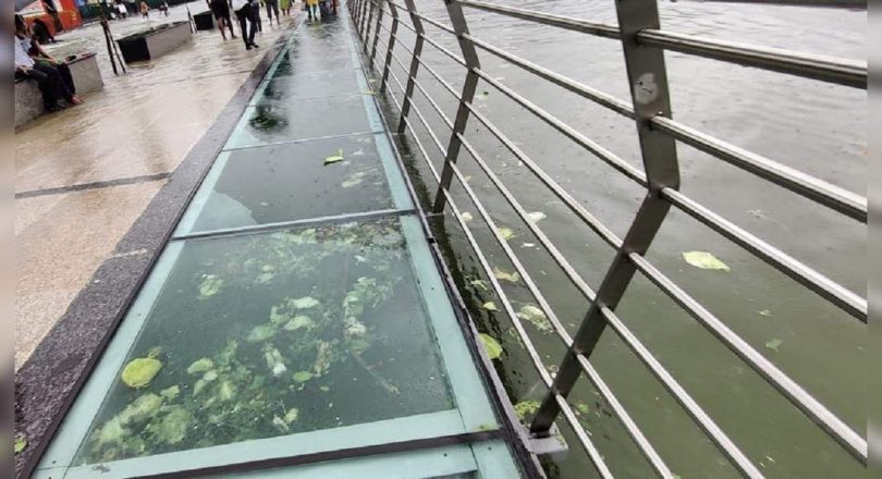 Thane: Masdaa Lake Overflows; Waste spills