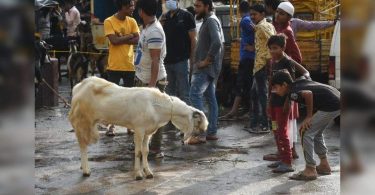 Mominpura Goat Market cuts a sorry figure in front of Eid al-Fitr