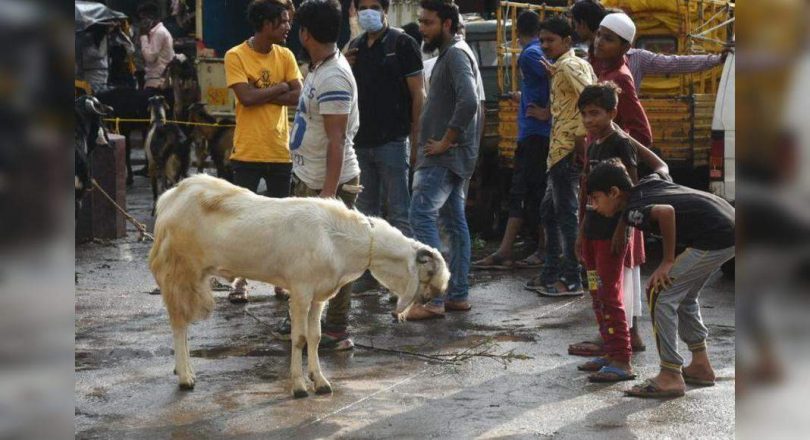 Mominpura Goat Market cuts a sorry figure in front of Eid al-Fitr