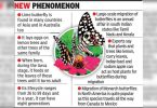 In the first, scientists watched the limestone butterflies migrate through Gujarat