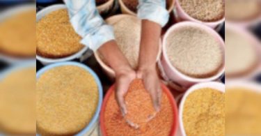 The government makes it easy for norms of stockings for pulse importers, wholesalers