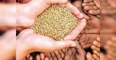 The cabinet nodded a ration card scheme in Delhi