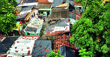 COLATE: The fight late at night broke above the plot of Kasba Beetle