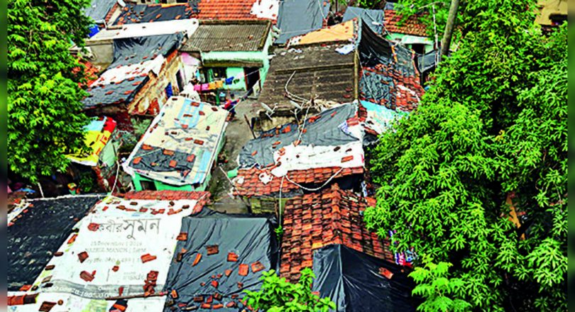 COLATE: The fight late at night broke above the plot of Kasba Beetle