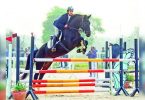 Equestrian Mirza Changes Horse, Choosing Seigneur Medicott for the Olympics