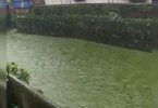Thane: Chemical Unit Sealed After Video That Shows Green Water Debit Becomes Viral