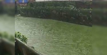 Thane: Chemical Unit Sealed After Video That Shows Green Water Debit Becomes Viral