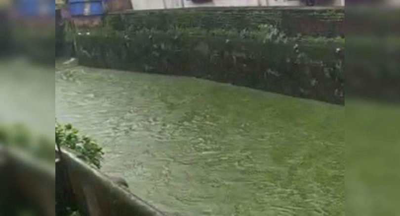 Thane: Chemical Unit Sealed After Video That Shows Green Water Debit Becomes Viral