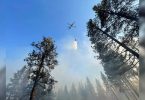 Oregon Wildfire Scorches Area 1.5 times the size of NYC