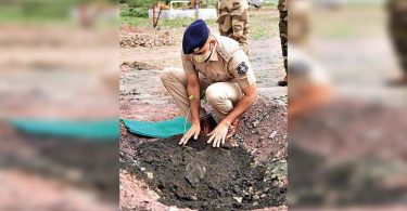 Trees to bloom under the eyes that are alert