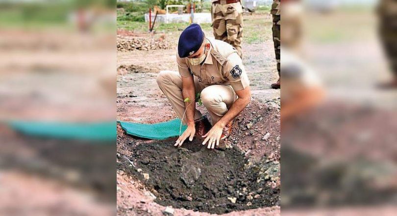 Trees to bloom under the eyes that are alert