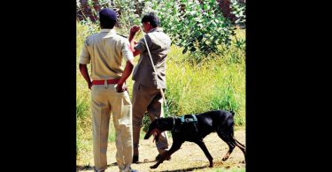 Pawsome! Gujarat police teacher will get a 'retirement home'