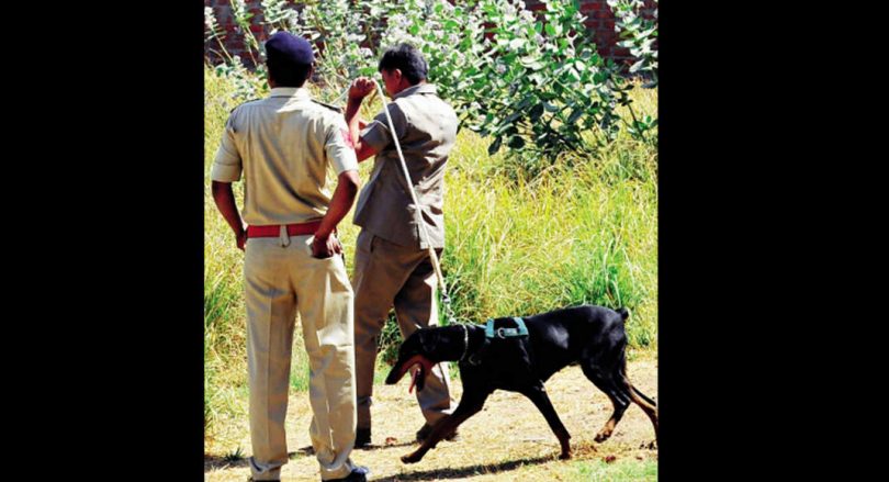 Pawsome! Gujarat police teacher will get a 'retirement home'