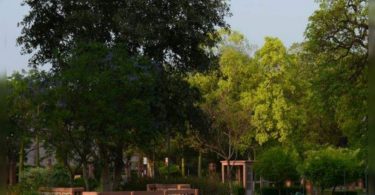 Inn & Out: Planning to link Delhi Zoo with Nixed Nursery Sunder