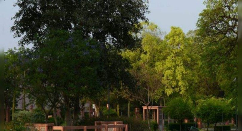 Inn & Out: Planning to link Delhi Zoo with Nixed Nursery Sunder