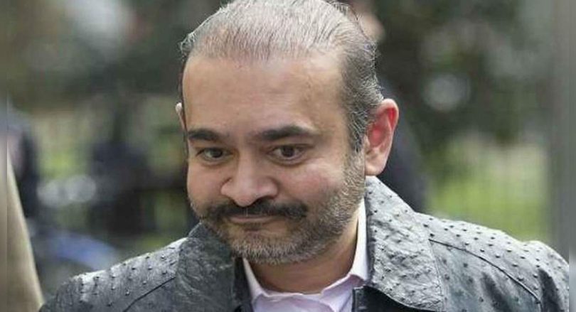 'Extradition of Niraav will worsen suicide trends'