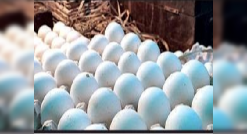 Transportation problems take chicken, egg prices for high 'locking'