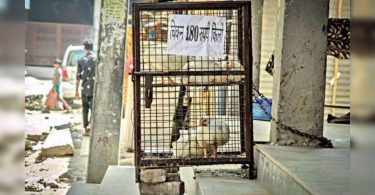 Is Gurugram's boys infected at the poultry shop?