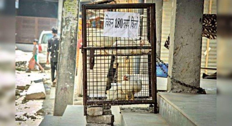 Is Gurugram's boys infected at the poultry shop?
