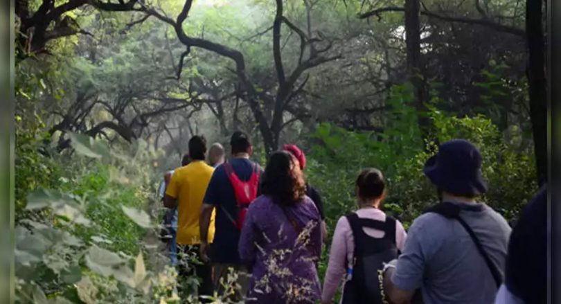 70% of South Ridge Delhi becomes 'forest'