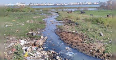 Chennai: Residents who leave the waste to SWD fined