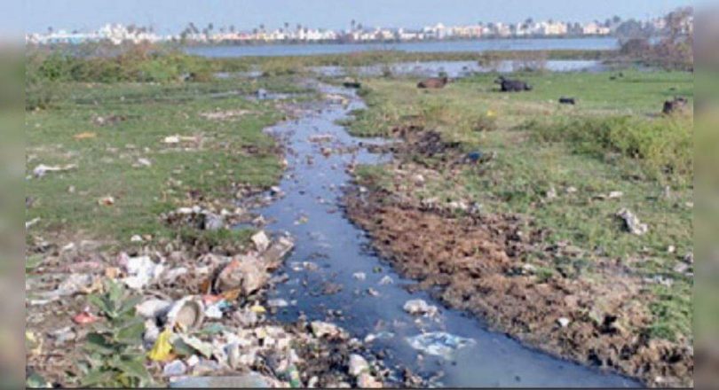 Chennai: Residents who leave the waste to SWD fined
