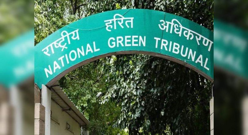 Hisac Municipal Corporation was accused of submitting a falitive written statement at NGT
