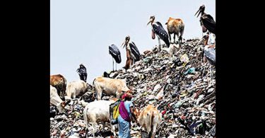 Moving Chandrapur Residents Gahati HC on Dumping Sites