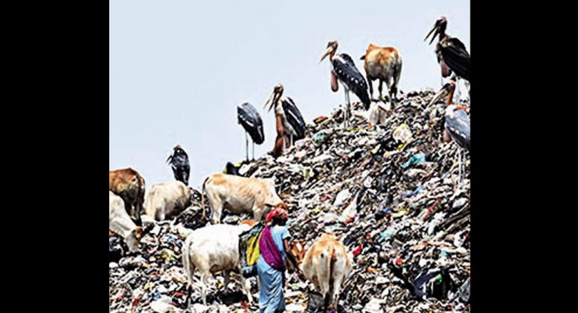 Moving Chandrapur Residents Gahati HC on Dumping Sites