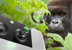 Corning launched Gorilla Glass to protect smartphone camera lenses