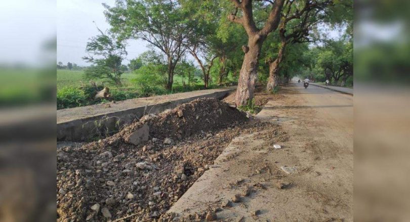 140 trees near Bapu Kuti to face ax