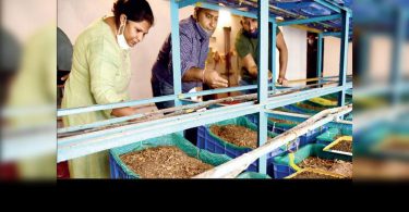 Apartments in Bengaluru make money out of dry garbage