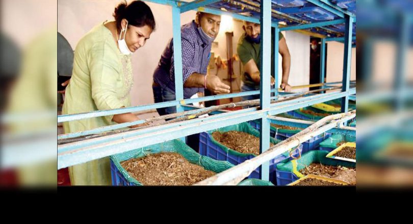 Apartments in Bengaluru make money out of dry garbage