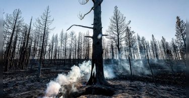Western Wildfires grow, but the weather is better to help the crew
